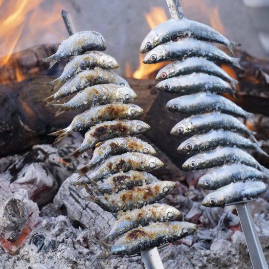 Closeup of some espetos, a kind of skewers where fish is skewered, beeing cooked in a wood fire, as is traditional in Sun Coast, Costa del Sol, Malaga, Spain