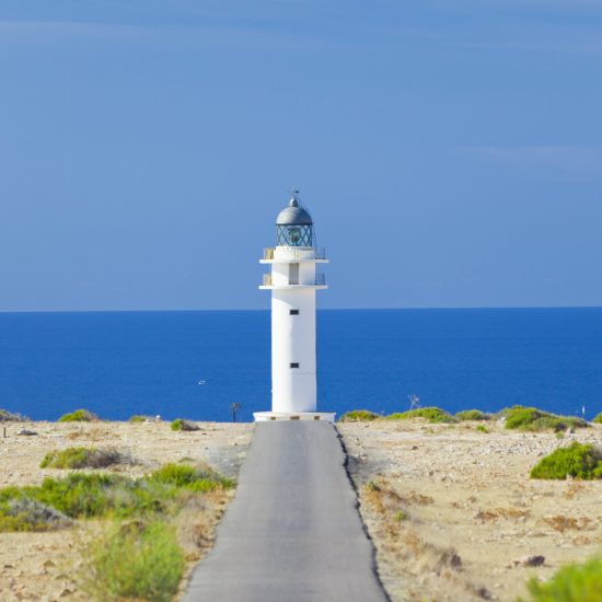 Road to the Lighthouse