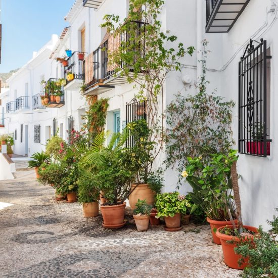 Picturesque narrow street decorated with plants. Frigiliana, Andalusia, Spain.